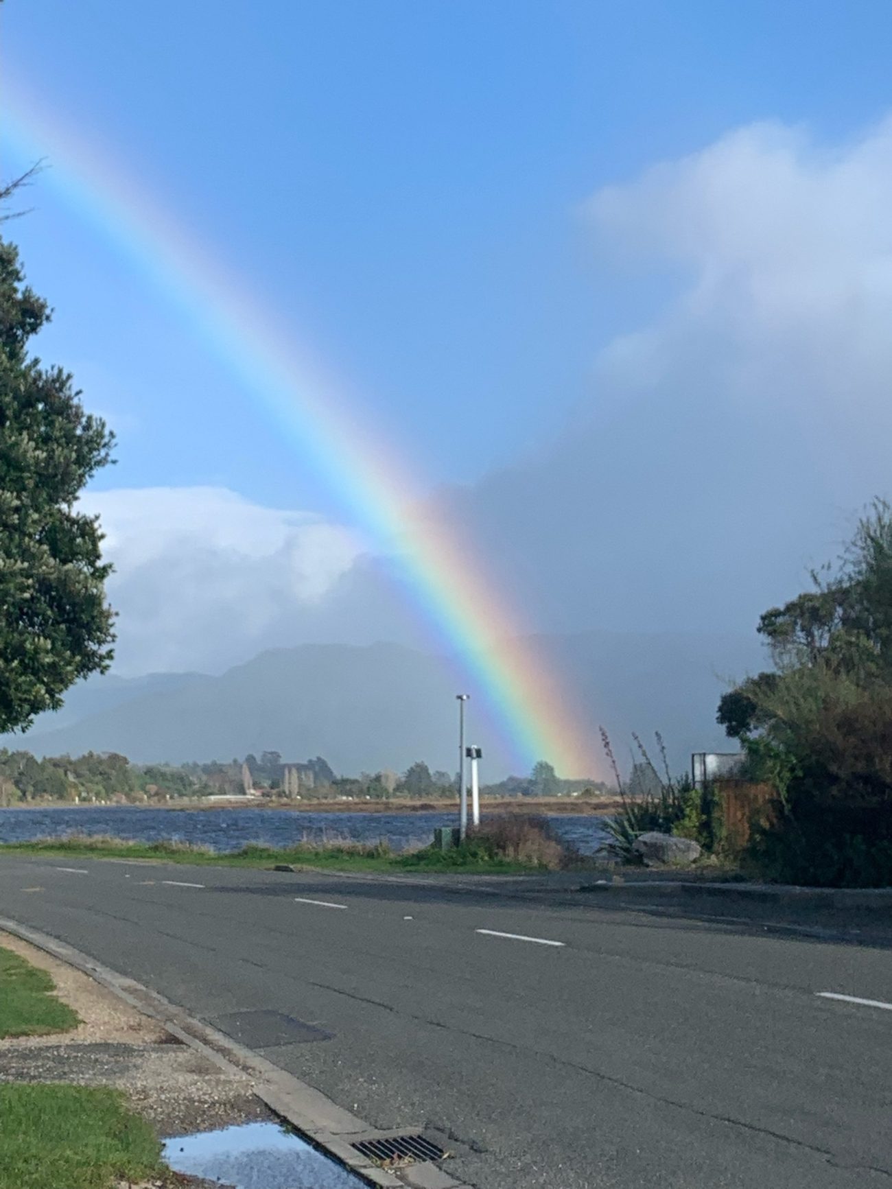 Standing for your Local Community Board or Tasman District Council